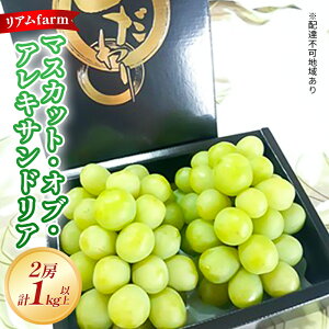 yӂ邳Ɣ[Łzy2026Ns\z Ԃǂ RY }XJbgEIuEALThA 2[iv1kgȏj s2026N7{-{oׁt  uhE t[c ʕ XC[c ʌ 