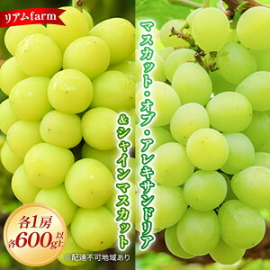 yӂ邳Ɣ[Łzy2026Ns\z Ԃǂ RY }XJbg EIuE ALThA  VC}XJbg e1[ie600gȏj 2026N7{-8{o t[c ʕ ʌ 