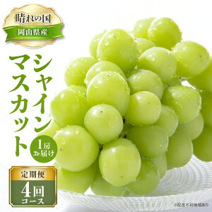 �y�ӂ邳�Ɣ[�Łz�y 2026�N ��s�\�� �z�Ԃǂ� ����̍� �V���C���}�X�J�b�g 1�[ ����� 4�� �R�[�X �s2026�N7��-12���o�ׁt ���� �u�h�E ���R���Y �t���[�c �ʕ� ���ʌ��� ������ �@���͂��F2026