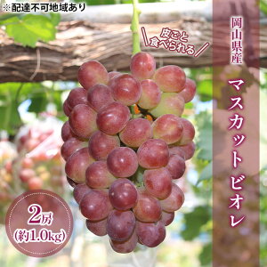 yӂ邳Ɣ[Łzy2026Ns\z Ԃǂ RY 炲 Hׂ }XJbg rI 햳 1.0kgi2[j s2026N9{-10{oׁt  uhE t[c ʕ ʌ 