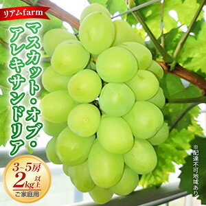 【ふるさと納税】【2026年先行予約】 ご家庭用 ぶどう 岡山県産 マスカット・オブ・アレキサンドリア 3〜5房(2kg以上) 《2026年7月上旬-下旬頃出荷》 葡萄 ブドウ フルーツ 果物 スイーツ 数