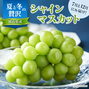 �y�ӂ邳�Ɣ[�Łz�y2026�N��s�\��z �Ԃǂ� �ĂƓ~�� �ґ� �V���C���}�X�J�b�g 7����12���ɕ����� ���͂� �I ���� �u�h�E ���R���Y �t���[�c �ʕ� ���ʌ��� ���Ԍ��� ���R ������ �@���͂��F1