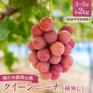 �y�ӂ邳�Ɣ[�Łz�y2026�N��s�\��z �Ԃǂ� ���R���Y �N�C�[���j�[�i �i �햳�� �j��2kg�i3�`5�[�j �s2026�N9����{-���{���o�ׁt ���� �u�h�E �t���[�c �ʕ� �X�C�[�c ���ʌ��� ���Ԍ��� ���R 