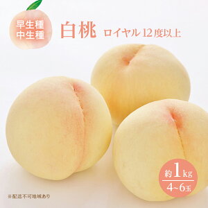 yӂ邳Ɣ[Łz 2026N s\ R  C 4`6 1kg JA  ̂iEj   RY Y t[c ʕ Mtg Â  Yn 蕨 