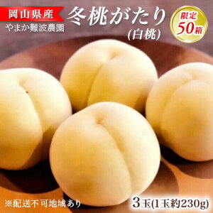 yӂ邳Ɣ[Łzy50z~ij230g×3  R t[c ʕ s\ ʌ Ԍ    @͂F2025N11{`2025N11{