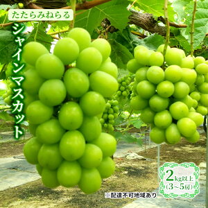 yӂ邳Ɣ[Łzy2025Ns\z Ԃǂ RY ݂˂ VC}XJbg 2kgȏ(3`5[) s2025N8{-10{oׁt  uhE t[c ʕ XC[c ʌ 