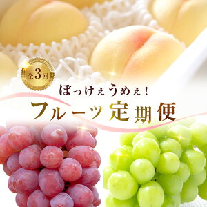 yӂ邳Ɣ[Łzy 2026N s\ zԂǂ  ڂ߂ t[c  3 R[X -2 (  E VC}XJbg E  )s2026N8-10oׁt RY t[c ʕ ʌ