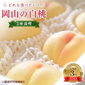 yӂ邳Ɣ[Łzy 2026N s\z  RY ǂHׂIR̓ 3 i v 3 R[XA ( 씒P E P E c e1.5kg)s2026N6{-8{oׁt ʌ 