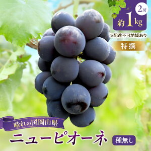 yӂ邳Ɣ[Łzy2026Ns\z yzԂǂ RY j[sI[l i 햳 j1kgi2[j s2026N8{-9{oׁt  uhE t[c ʕ XC[c ʌ 