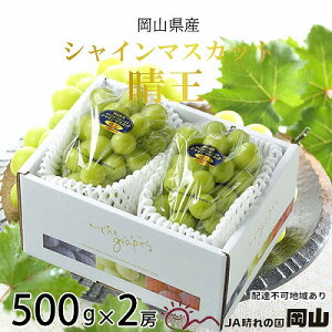 yӂ邳Ɣ[ŁzԂǂ 2025N s\ VC }XJbg  500g×2[ 8{`11{ uhE  RY Y t[c ʕ Mtg @͂F2025N8{`2025N11{
