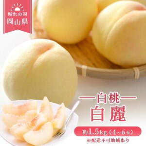 yӂ邳Ɣ[Łzy 2026N s\z  RY  i  j 1.5kg i4`6ʁj s2026N7{-8{oׁt  R ͂Ƃ XC[c t[c ʕ s\ ʌ Ԍ