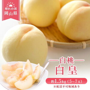 yӂ邳Ɣ[Łzy 2026N s\z  RY c i  j 1.5kg i5`7ʁj  R ͂Ƃ XC[c t[c ʕ s\ ʌ Ԍ    @͂F202