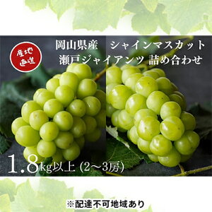 yӂ邳Ɣ[ŁzI VC}XJbgE˃WCAc 2`3[ v1.8kgȏ l Yn ̂ Ԃǂ  Kawahara Green Farm RY 2025N ʕ Hה W[V[  