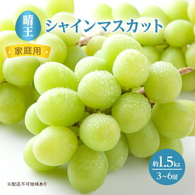 【ふるさと納税】ぶどう 2026年 先行予約 ご家庭用 シャイン マスカット 晴王 3～6房 約1.5kg ブドウ 葡萄 岡山県産 国産 フルーツ 果物 大粒 高糖度 種なし 皮ごと 種無しぶどう 産地直送 　お届け：2026年8月下旬～2026年11月下旬