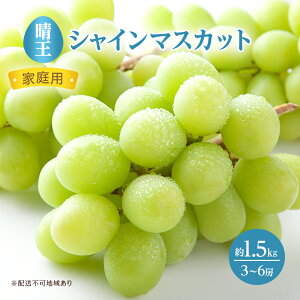 yӂ邳Ɣ[ŁzԂǂ 2025N s\ ƒp VC }XJbg  3`6[ 1.5kg uhE  RY Y t[c ʕ 嗱 x Ȃ 炲 햳Ԃǂ Yn @
