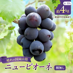 yӂ邳Ɣ[Łzy2026Ns\z Ԃǂ RY j[sI[l ( 햳 )4kg(6`10[)y2kg(3`5[)×2z s2026N8{-9{oׁt  uhE t[c ʕ XC[c 
