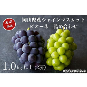 yӂ邳Ɣ[ŁzI VC}XJbgEj[sI[l 2[ v1.0kgȏ l Yn ̂ Ԃǂ  Kawahara Green Farm RY 2026N ʕ t[c W[V[ 嗱 Hׂ₷ 