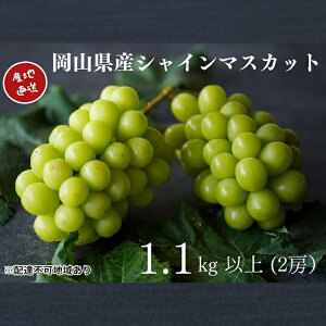 yӂ邳Ɣ[ŁzI VC}XJbg 2[ v1.1kgȏ Yn ̂ Ԃǂ  Kawahara Green Farm RY 2025N ʕ t[c ʏ`Ղ W[V[ Ȃ @͂F2025N9