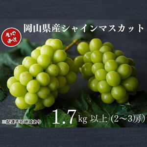 yӂ邳Ɣ[ŁzI VC}XJbg 2`3[ v1.7kgȏ Yn ̂ Ԃǂ  Kawahara Green Farm RY 2025N ʕ t[c ʏ`Ղ W[V[ Ȃ @͂F2025N9