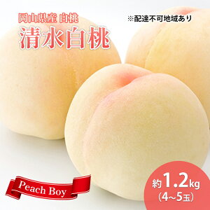 yӂ邳Ɣ[Łzy 2026N s\z  RY   1.2kg(4`5) s2026N7{-8{oׁt  R ͂Ƃ XC[c t[c ʕ s\ ʌ Ԍ R 