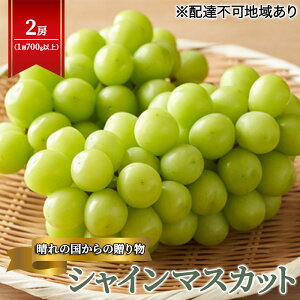 yӂ邳Ɣ[Łzy2025Ns\z Ԃǂ RY ̍ 蕨 VC}XJbg 2[i1[700gȏj s2025N9{-10{oׁt  uhE t[c ʕ XC[c 