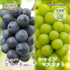 �y�ӂ邳�Ɣ[�Łz�y 2026�N ��s�\�� �z���R���Y �j���[�s�I�[�l �� �V���C���}�X�J�b�g �i���ƒ�p�j����� 2�� �R�[�X�s2026�N9��-10���o�ׁt ���R���Y �t���[�c �ʕ� ���ʌ��� ������ �@����