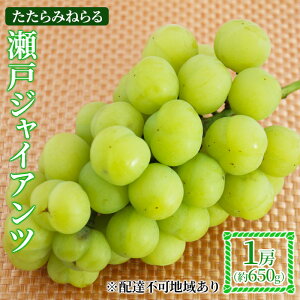 yӂ邳Ɣ[Łzy2025Ns\z Ԃǂ RY ݂˂ ˃WCAc 1[(650g) s2025N9{-10{oׁt  uhE t[c ʕ XC[c ʌ Ԍ 