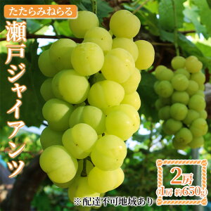 yӂ邳Ɣ[Łzy2025Ns\z Ԃǂ RY ݂˂ ˃WCAc 2[(1[650g) s2025N9{-10{oׁt  uhE t[c ʕ XC[c ʌ Ԍ