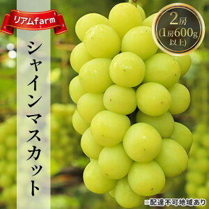 【ふるさと納税】【2026年先行予約】 ぶどう 岡山県産 シャインマスカット 2房(1房600g以上) 《2026年7月下旬-8月下旬頃出荷》 葡萄 ブドウ フルーツ 果物 スイーツ 数量限定 期間限定 里庄町