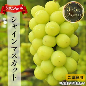 yӂ邳Ɣ[Łzy2026Ns\z ƒp Ԃǂ RY VC}XJbg 3`5[i2kgȏj s2026N8{-9{oׁt  uhE t[c ʕ XC[c ʌ Ԍ