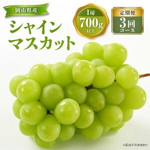 �y�ӂ邳�Ɣ[�Łz�y 2026�N ��s�\�� �z�Ԃǂ� ���R���Y �V���C���}�X�J�b�g 1�[(��700g�ȏ�) �H�ה�� ����� 3�� �R�[�X �s2026�N9��-12���o�ׁt ���� �u�h�E ���R���Y �t���[�c �ʕ� ���ʌ��� 