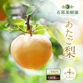 【ふるさと納税】梨 2026年 先行予約 ご家庭用 あたご梨 3～9玉入り約4kg 化粧箱【11月下旬～12月中旬頃発送】 ナシ なし 岡山県産 国産 フルーツ 果物 石原果樹園 　お届け：2026年11月15日～2026年12月20日