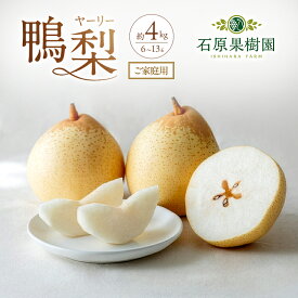 【ふるさと納税】梨 2026年 先行予約 ご家庭用 鴨梨（ヤーリー） 6～13玉入り 約4kg 化粧箱【11月下旬～12月中旬頃発送】 ナシ なし 岡山県産 国産 フルーツ 果物 石原果樹園 家庭用 　お届け：2026年11月15日～2026年12月20日