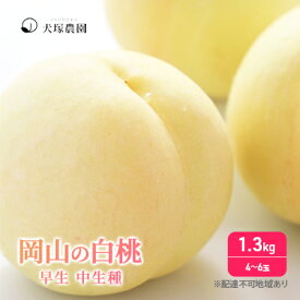 【ふるさと納税】【楽天限定】 【先行予約】 桃 2024年 ご家庭用 訳あり 1.3kg 4～6玉 もも モモ 国産 岡山 白桃 はくとう スイーツ フルーツ 果物 デザート 旬 岡山県 里庄町 送料無料 早生 中生種 犬塚農園　【里庄町】　お届け：2024年6月下旬～2024年8月上旬