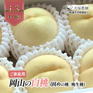 yӂ邳Ɣ[Łzł߂̓ 2026N s\ ƒp R   iӐj1.3kg 4`6 R t[c    s[` lC VN t[c     󂠂    