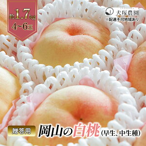 yӂ邳Ɣ[Łz 2026N s\ p R iAj1.7kg 4`6 R t[c    s[` lC VN t[c  t[c   Mtg   