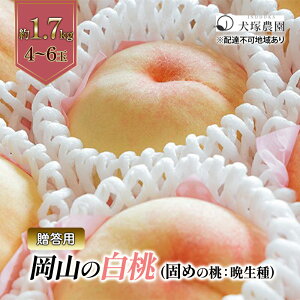 yӂ邳Ɣ[Łzł߂̓ 2026N s\ p R iӐj1.7kg 4`6 R t[c    s[` lC VN t[c  t[c   Mtg   