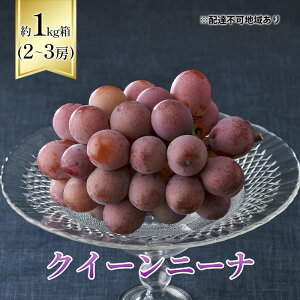 yӂ邳Ɣ[Łzy2026Ns\z Ԃǂ RY NC[j[i 1kgi2`3[j s2026N8{-9{oׁt  uhE RY t[c ʕ XC[c ʌ Ԍ R 