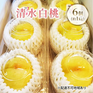 yӂ邳Ɣ[Łzy2026Ns\z  RY  6i1kgj s2026N7{-8{oׁt  R ͂Ƃ XC[c t[c ʕ s\ ʌ Ԍ R 