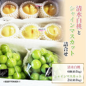 yӂ邳Ɣ[Łzy2026Ns\z Ԃǂ RY i6E1kgj VC}XJbg i2[E1kgj l Zbg s2026N7{-8{oׁt    uhE 