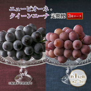 yӂ邳Ɣ[Łzyցzy2026Ns\z Ԃǂ RY j[sI[l E NC[j[i 1kgie2`3[j  2 s2026N8{-9{oׁt  uhE RY t