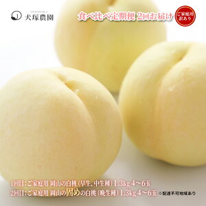 yӂ邳Ɣ[Łz 2026N s\ ƒp 󂠂 Hה  1.3kg 4`6×2 ͂ R lC VN t[c  t[c   󂠂   ʕ {  @͂F2026N6