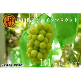 【ふるさと納税】訳あり シャインマスカット 2房 合計1.1kg以上 産地直送 朝採れ ぶどう 葡萄 シャイン マスカット 岡山 Kawahara Green Farm 2026年　お届け：2026年9月1日～2026年10月31日