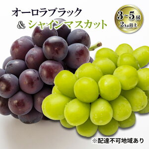 yӂ邳Ɣ[Łzy2026Ns\z ƒp Ԃǂ RYI[ubNVC}XJbg 3`5[i2kgȏ) s2026N7{-8{oׁt  uhE t[c ʕ XC[c 