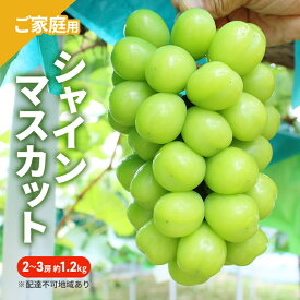 【ふるさと納税】ぶどう 2026年 先行予約 ご家庭用 シャインマスカット 2～3房 約1.2kg ブドウ シャイン マスカット 葡萄 岡山 国産 フルーツ 果物　お届け：2026年9月上旬～2026年10月下旬