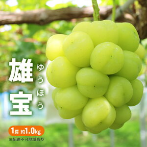 yӂ邳Ɣ[ŁzԂǂ 2026N s\ Y 1[ 1.0kg ʌ uhE  R Y t[c ʕ @͂F2026N9{`2026N9{