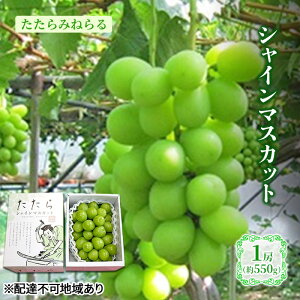 yӂ邳Ɣ[Łzy2026Ns\z Ԃǂ RY ݂˂ VC}XJbg 1[(550g) s2026N8{-10{oׁt  uhE t[c ʕ XC[c ʌ Ԍ