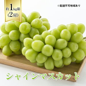 yӂ邳Ɣ[Łzy2025Ns\z Ԃǂ RY VC}XJbg 1kgi2[j s2025N10{-11{oׁt  uhEt[c ʕ XC[c ʌ Ԍ R  