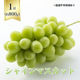 【ふるさと納税】【2026年先行予約】 ぶどう 岡山県産 シャインマスカット 1房箱（約800g） 《2026年10月中旬-11月下旬頃出荷》 葡萄 ブドウフルーツ 果物 スイーツ 数量限定 期間限定 岡山 里庄町 ブドウ ぶどう 葡萄　お届け：2026年10月中旬～2026年11月30日