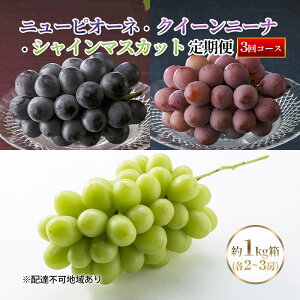 yӂ邳Ɣ[Łzyցzy2026Ns\z Ԃǂ RY j[sI[l E NC[j[i E VC}XJbg 1kgie2`3[j  3 s2026N8{-10{oׁt 